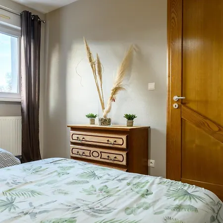 Au Cœur De L'alsace Appartement Ostheim