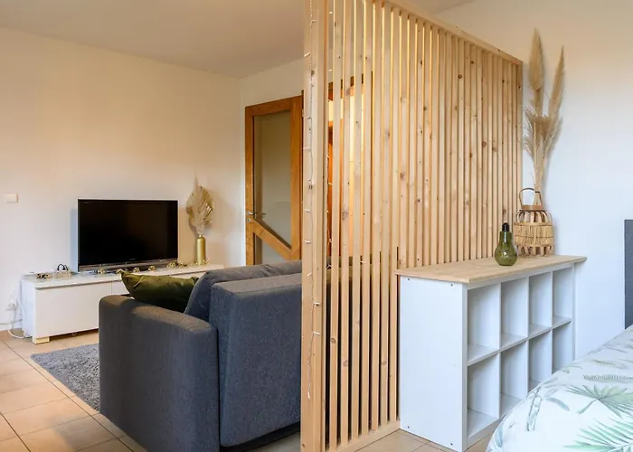 شقة Au Coeur De L'alsace *