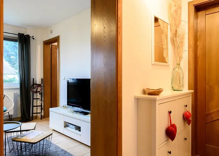 Au Coeur De L'alsace شقة أوستا